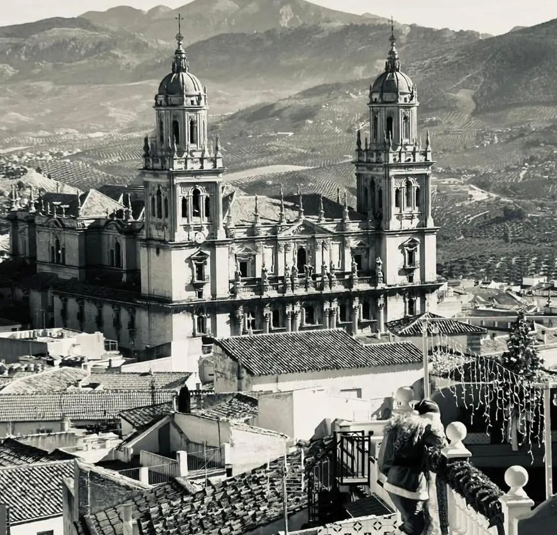 Jaen Delice Deluxe & Parking Apartment Spain